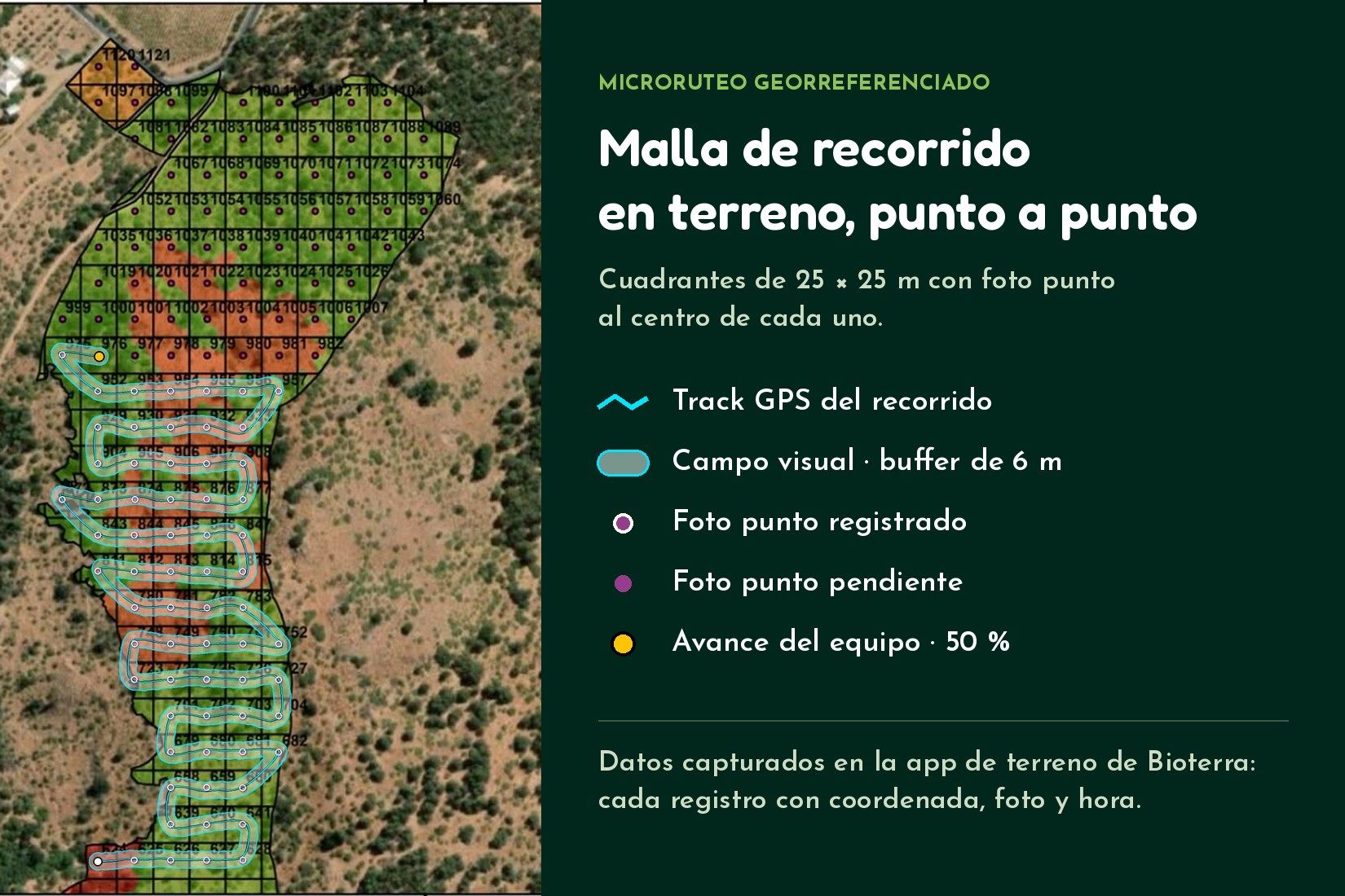 Malla de microruteo georreferenciada: cuadrantes de 25 x 25 m con foto punto, track GPS y campo visual de 6 m